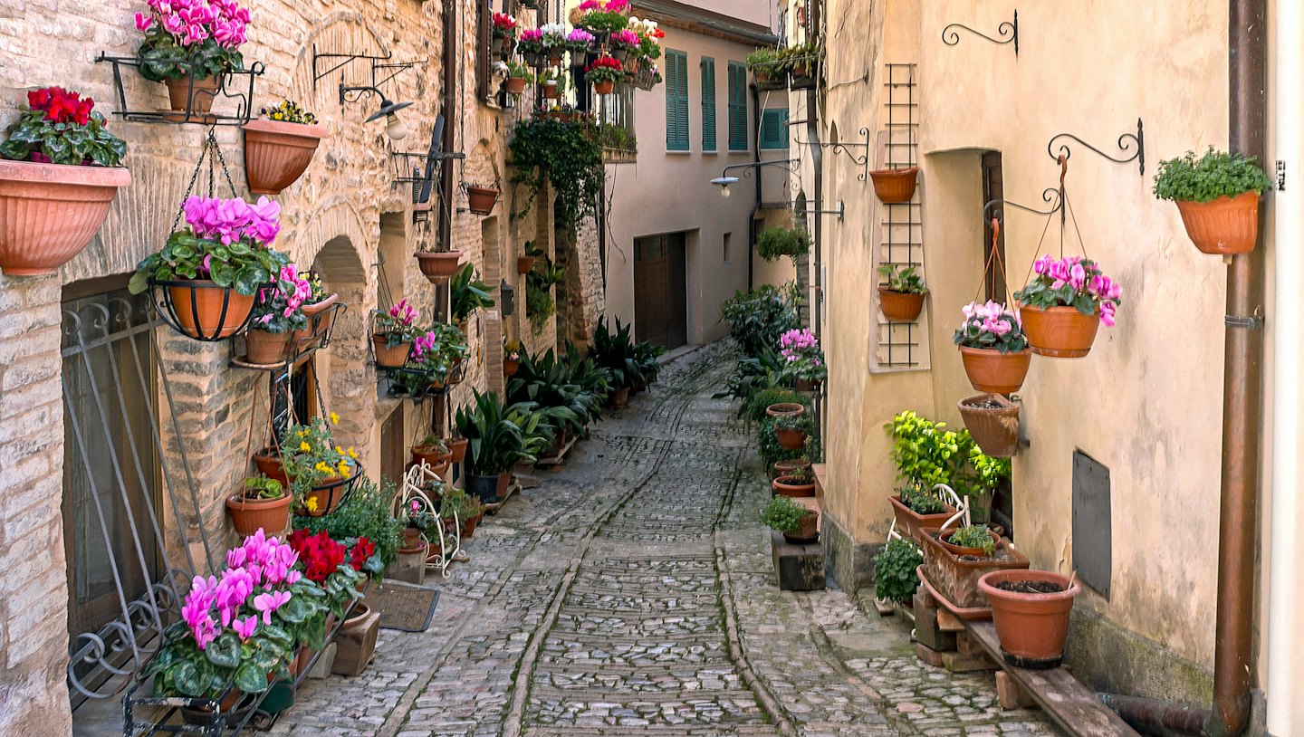 Vicolo acciottolato con fiori colorati e palazzi.